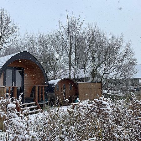 Pod Hotelkamer Aan Het Water Dokkum Εξωτερικό φωτογραφία
